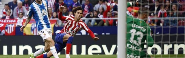 九州体育官网-又靠受气包费利克斯续命，西蒙尼王朝及兴亡周期？