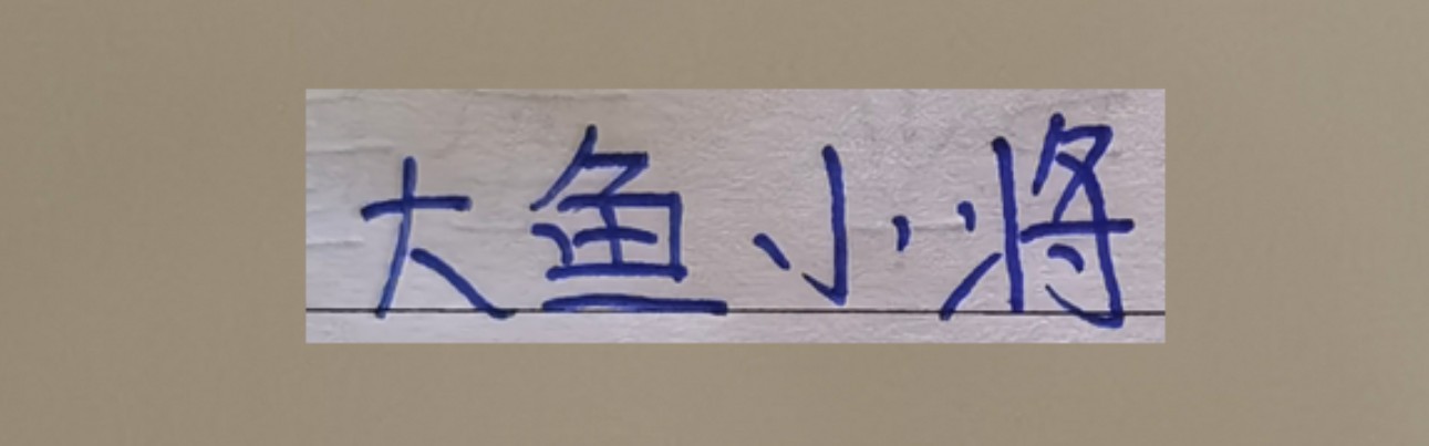 九州体育-超级杯海港新大鱼 带球和突破不亚于巴尔加斯！