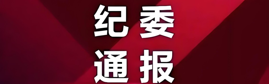 他接受纪律审查和监察调查