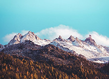 开云网页版中国官网：开启数字生活的新入口